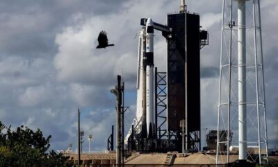 اسپیس ایکس ارزشمندترین شرکت خصوصی آمریکا؛ ارزش گذاری 800 میلیارد دلاری