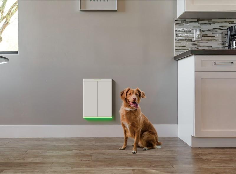 سگی در مقابل درب هوشمند Pawport از گجت های هوشمند حیوان خانگی