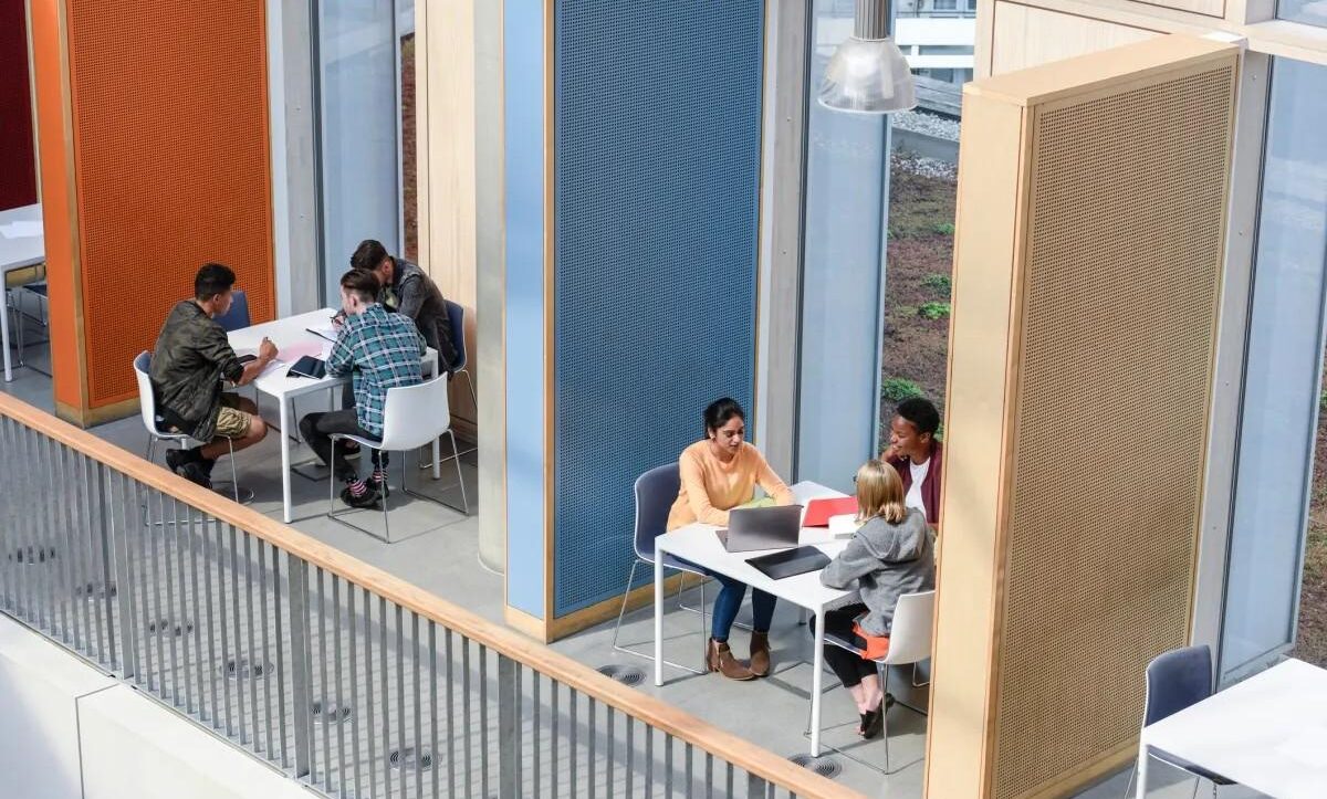 مهاجرت بزرگ از علوم کامپیوتر و افزایش گرایش دانشجویان به هوش مصنوعی