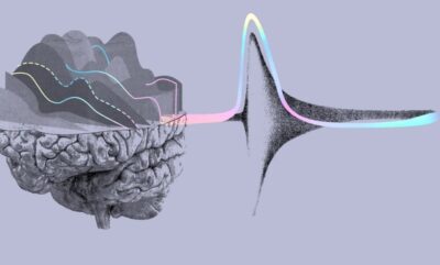 ایده یک استارتاپ برای ارائه پاسخ های دقیق هوش مصنوعی با ترکیب چندین چت بات