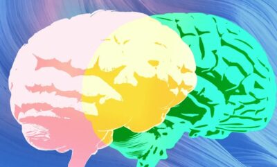 بررسی تخصصی گرامرلی بدون کارشناس؛ جنجال جدید در دنیای هوش مصنوعی